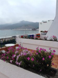 1073706_10201829764533864_987222037_o