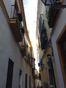 1146414_10201822719437741_7116766_o