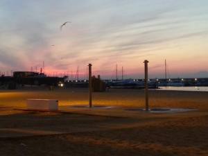 1236392_10202041527307801_22481060_n