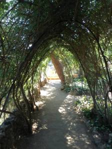 933943_10202041574988993_1126061154_n