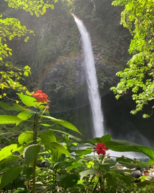 B436F059-158A-4A33-B7D4-D6464BC2F6D1